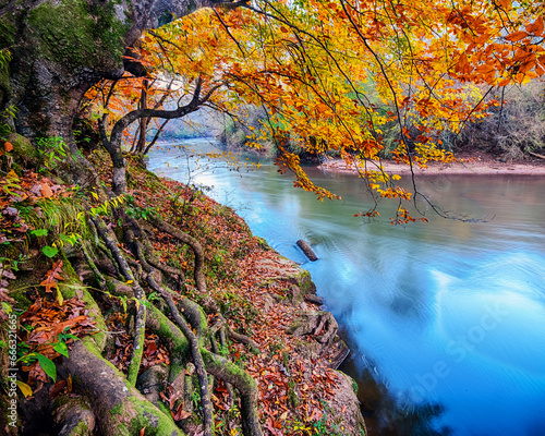 Creek with fall colors along trail near Atlanta, GA