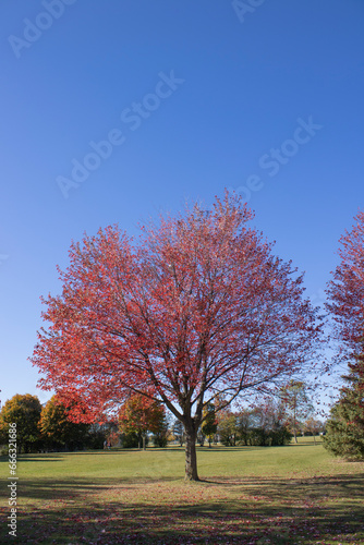 Centennial Park in Etobicoke  Ontario