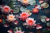 Zen Elegance, Delicate Lotus Flower in Tranquil Pond