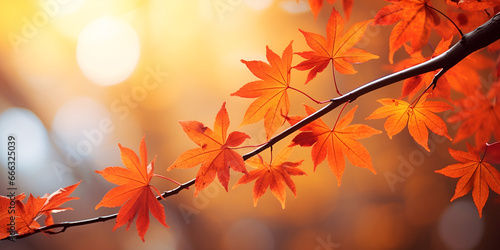 A Symphony of Colors  Autumn s Elegance with Maple Leaves in Striking Orange on Dark Branches  background ai generated