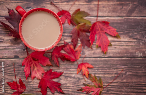 Morning Coffee in a red mug in autumn with copy space for text © Daria