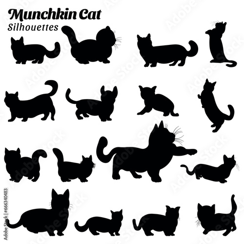 Munchkin cat silhouette vector illustration collection