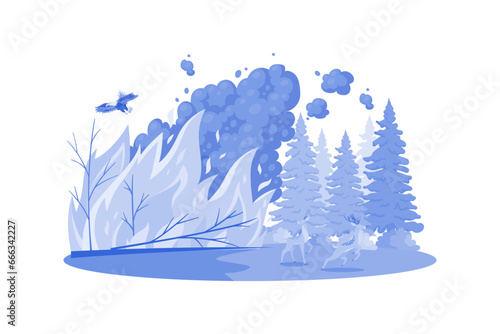 Forest Fires can result from dry conditions and human carelessness.