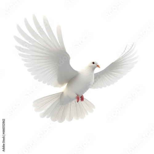 White dove isolated on transparent background,transparency 