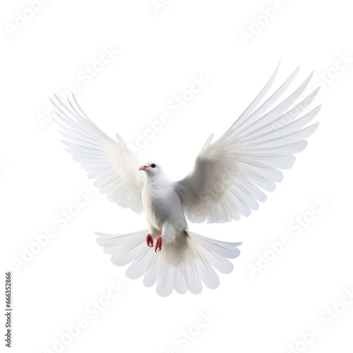 White dove isolated on transparent background,transparency  © SaraY Studio 