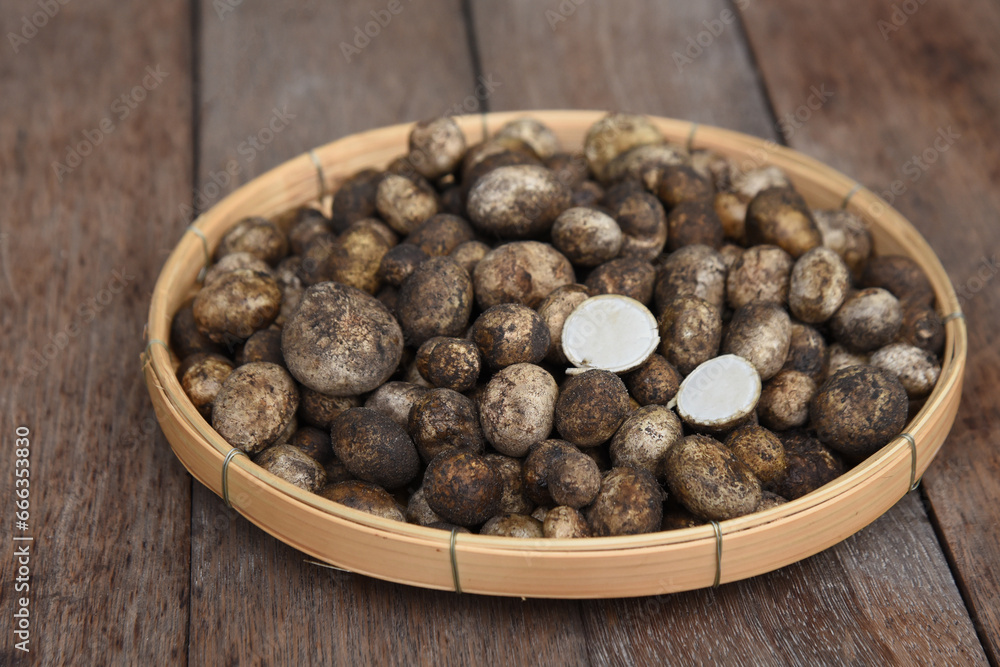 Puff Ball Mushrooms (Hygroscopic earthstar) in a bamboo tray on wooden table backgournd.
