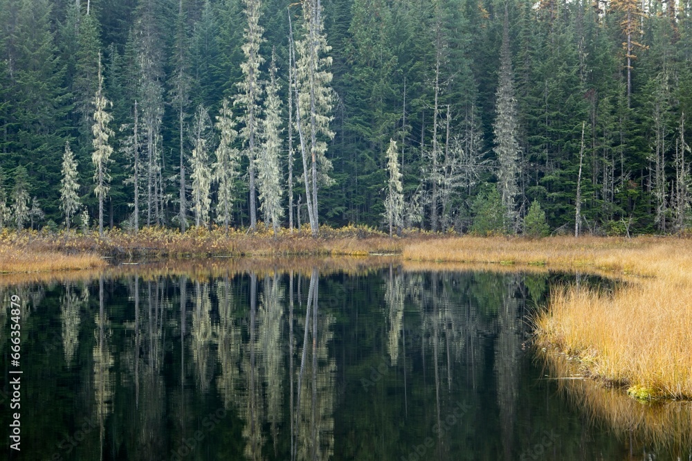 The calm reflective lake in Idaho. The calm reflective lake in Idaho.