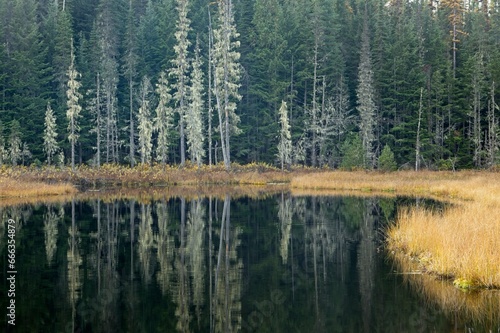 Fototapeta Naklejka Na Ścianę i Meble -  The calm reflective lake in Idaho.