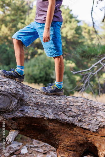 adventure travel. child in sneakers close-up. adventure travel concept. walks along the trunk of a fallen tree.