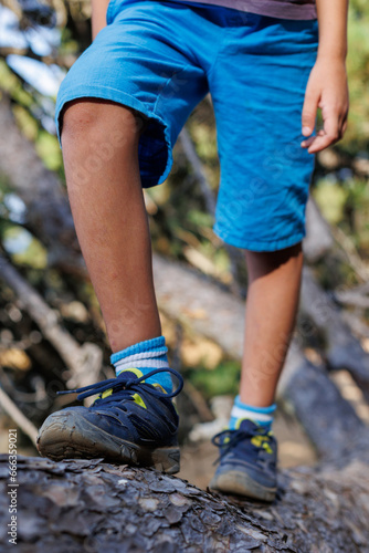 adventure travel. child in sneakers close-up. adventure travel concept. walks along the trunk of a fallen tree.