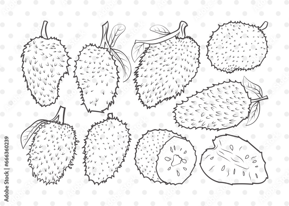 Soursop Clipart SVG Cut File | Soursop Graviola Svg | Guanabana Svg | Graviola Svg | Muricata | Bundle | Eps | Dxf | Png Soursop Clipart SVG Cut File | Soursop Graviola Svg | Guanabana Svg | Graviola Svg | Muricata | Bundle | Eps | Dxf | Png