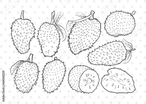 Soursop Clipart SVG Cut File | Soursop Graviola Svg | Guanabana Svg | Graviola Svg | Muricata | Bundle | Eps | Dxf | Png