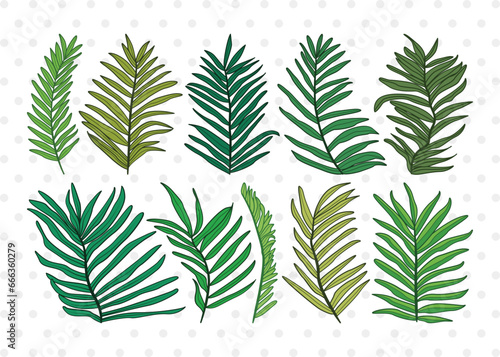 Palm Leaves Clipart SVG Cut File | Palm Leaf Svg | Tropical Leaves SVG | Monstera Leaf Svg | Plants Svg | Palm Tree Leaves Bundle