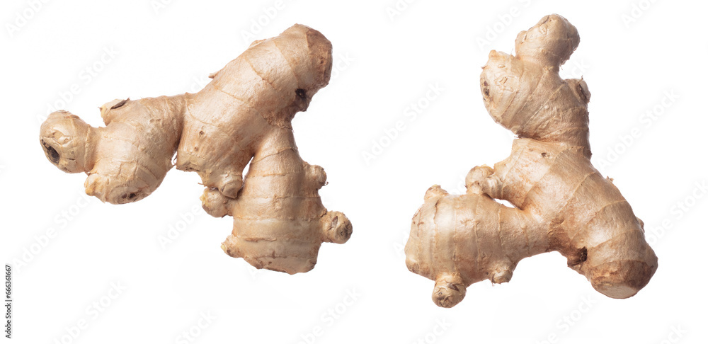 Ginger fall fly in mid air, fresh vegetable spice ginger falling. Organic fresh herbal ginger root head full length, close up texture. White background isolated freeze motion high speed shutter Ginger fall fly in mid air, fresh vegetable spice ginger falling. Organic fresh herbal ginger root head full length, close up texture. White background isolated freeze motion high speed shutter