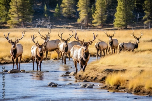 Herd of elk in the Rocky Mountains. Generative AI