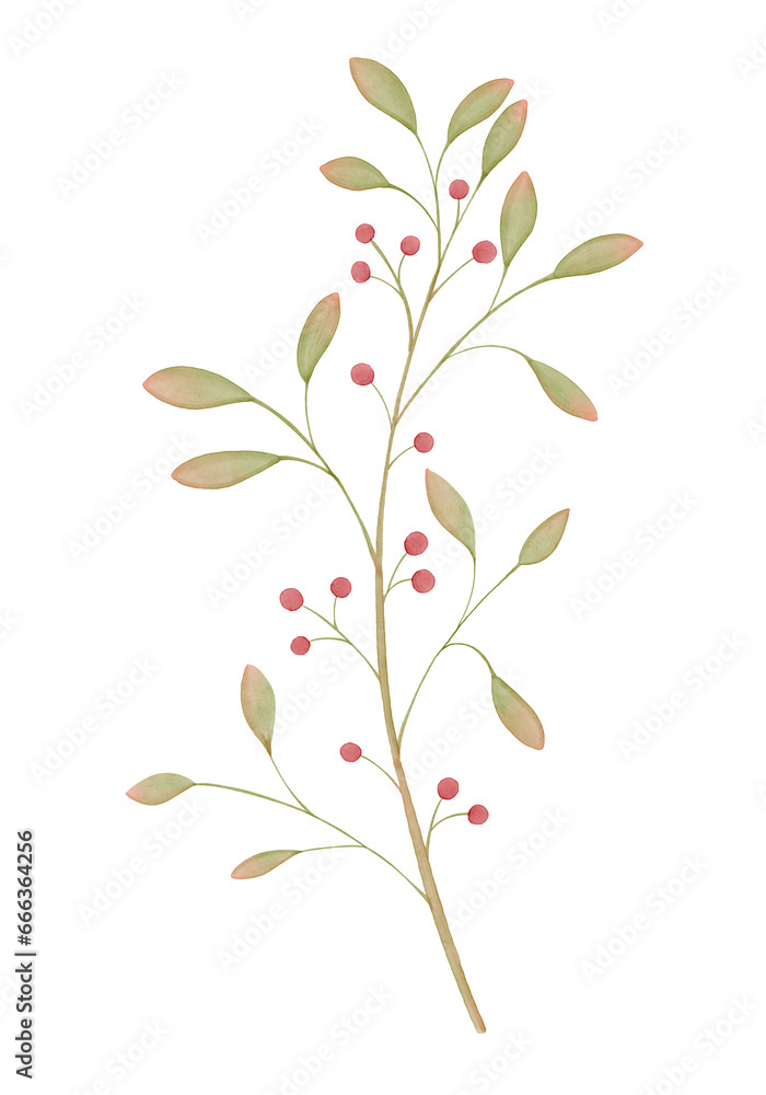 Watercolor Leaves and Red Fruits Illustration Watercolor Leaves and Red Fruits Illustration