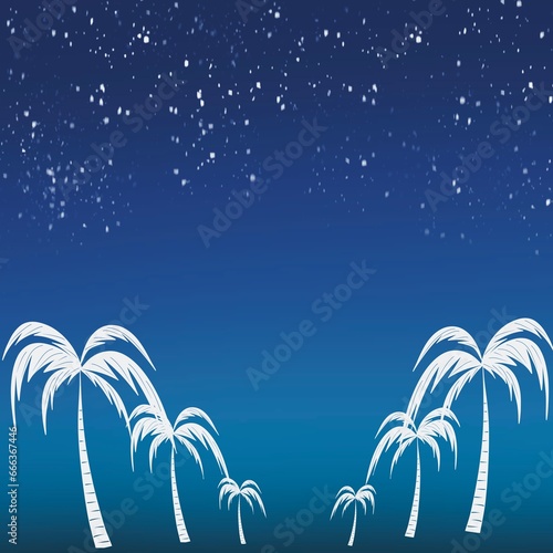 palm tree on the beach