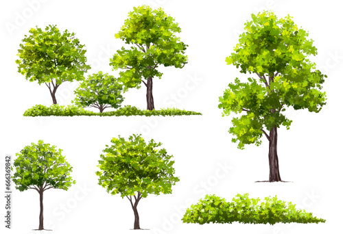 Vertor set of green tree plants side view for landscape elevation element for backdrop eco environment concept design watercolor greenery scene