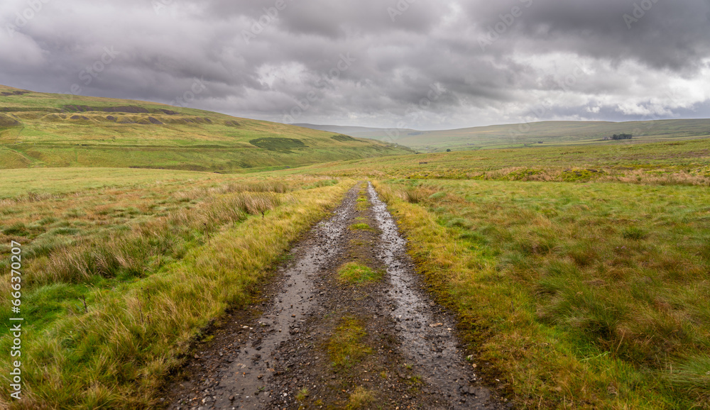 Obraz premium trackway through moorland, North Pennines Area of Outstanding Natural Beauty (ANOB), near Allenheads, Durham, UK