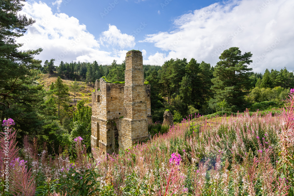 Φωτογραφία ruins of an old industrial building near Blanchland, North Pennines, Durham, UK