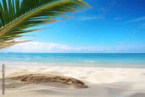Beach Palm Tree: Closeup of Sand on Beach with Blue Summer Sky - Tropical Paradise