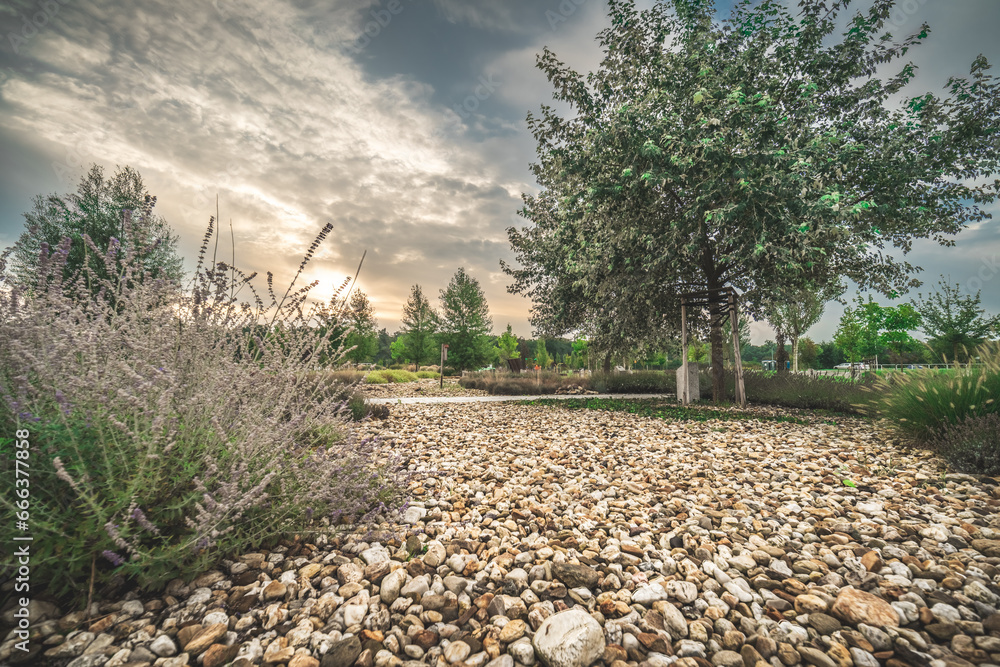 Naklejka premium ścieżka wysypana jasnym żwirem w ogrodzie lub parku