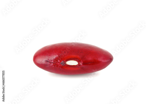 Red kidney bean isolated on white background. Macro © chuanthit