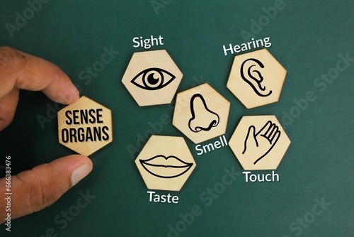 hexagons with five Sense organs icons namely sight, hearing, smell, teste and touch. basic 5 human senses photo