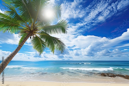 Sunny Day Beach  Palm Tree on Tropical Beach  Blue Sky and White Clouds Abstract Background