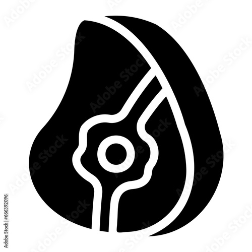 meat Solid icon