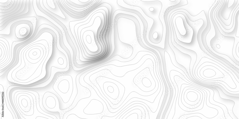 Background lines Topographic map. Geographic mountain relief. Abstract lines background. Contour maps. Vector illustration, Topo contour map on white background, Topographic contour lines.