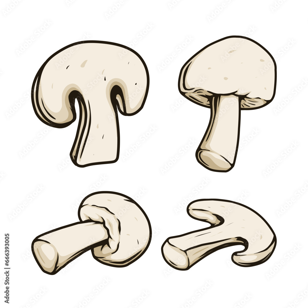 mushrooms vector isolated on white background mushrooms vector isolated on white background