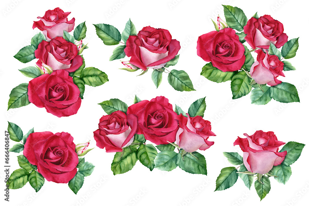 A big set of compositions with roses blooms, buds and leaves. Watercolor Illustration for cards invitation A big set of compositions with roses blooms, buds and leaves. Watercolor Illustration for cards invitation