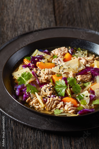 egg roll cabbage soup in bowl, top view