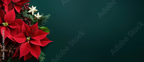 minimalistic background with poinsettia Christmas star, top view with empty copy space photo