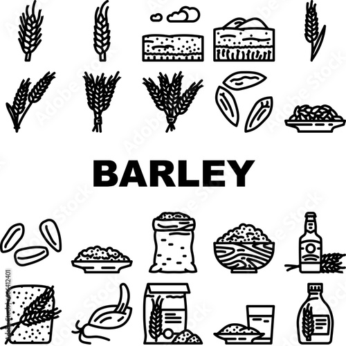barley grain wheat icons set vector. rye cereal, ear plant, harvest seed, food farm, agriculture bread, crop, oat barley grain wheat black contour illustrations