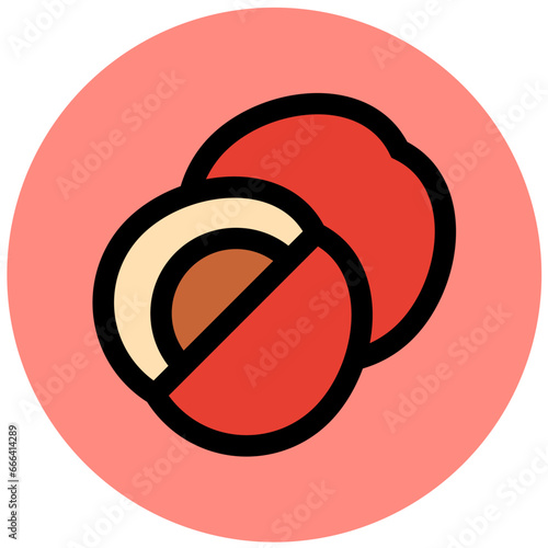 Jujube Vector Icon Design Illustration