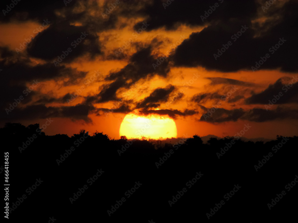 Very beautiful sunset on the beach, sun setting between trees, sun and clouds with orange sky - Pipa Beach in Brazil