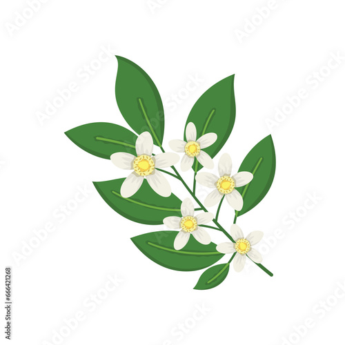 Tree branch icon vector illustration. Lemon blossom on isolated background. Lemon flower sign concept.
