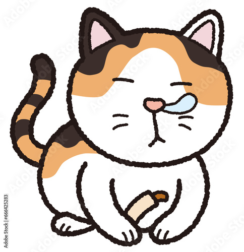 食べながら居眠りする三毛猫