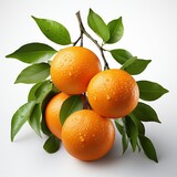 Mandarin ,Hd, On White Background