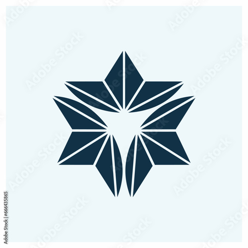Kamon Symbols of Japan. Japanesse clan kamon crest symbol. japanese ancient family stamp symbol. A symbol used to decorate and identify people in family. Sotomitswari Asanoha