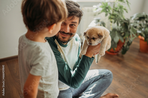 Smiling man showing cute puppy to son at home photo