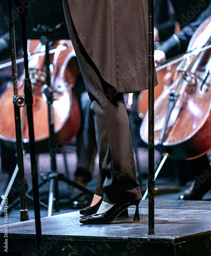 Fotografie woman conductor conducting symphony orchestra