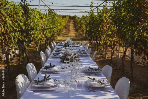 wedding in the vineyard