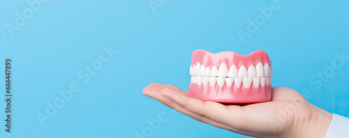 Woman Hand Holding tooth or detal model on blue background. photo