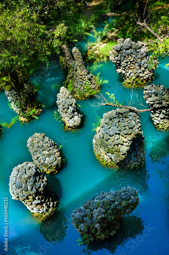 Green water stream in a shady garden of Chiang Mai Province photo