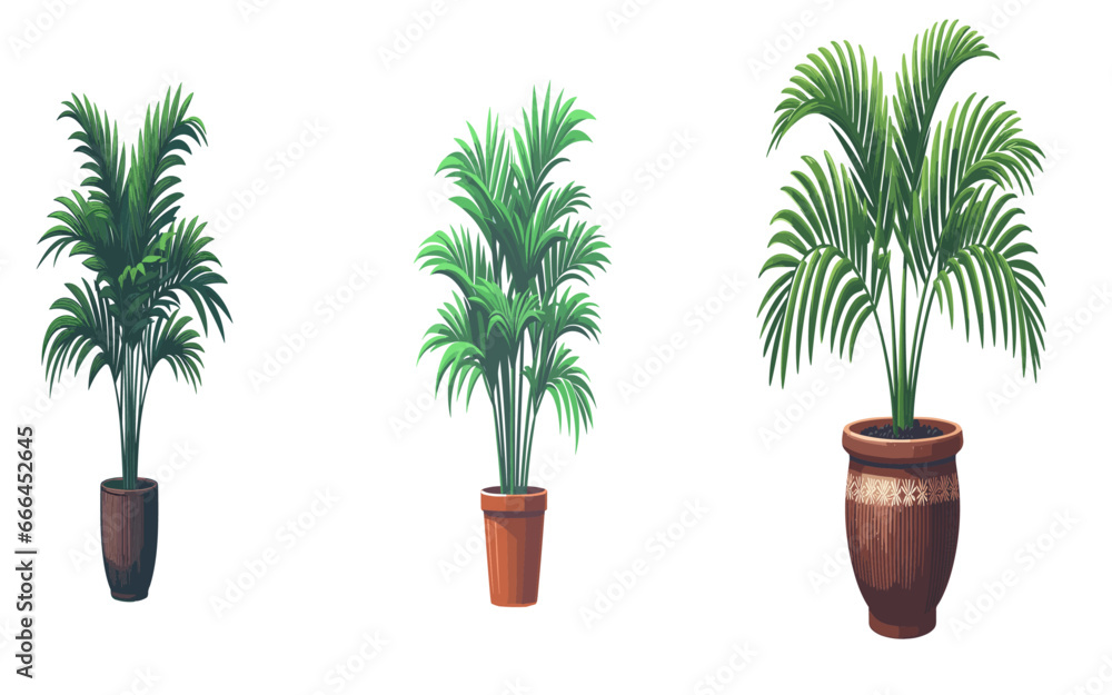 Obraz premium Palm tree in the pot, Vector Illustration on a transparent background 