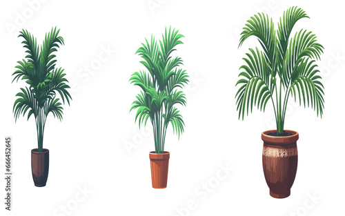 Palm tree in the pot, Vector Illustration on a transparent background	