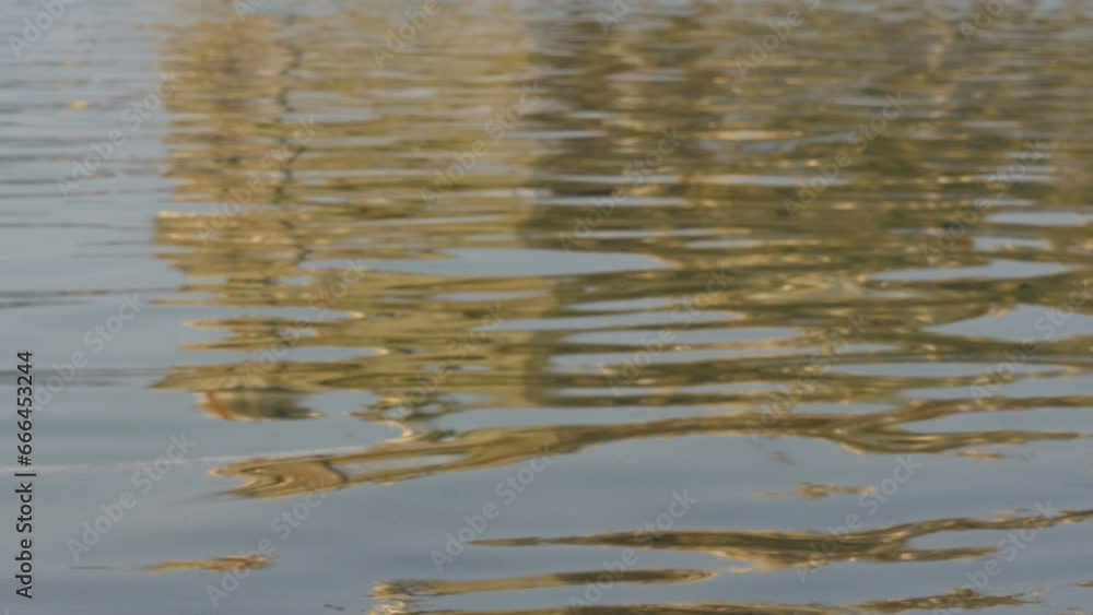 Reflection on water of the Golden Temple in Amritsar, India
Reflection on water of the Golden Temple in Amritsar, India